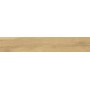 Peronda Grow Honey Sp/R 240X1510