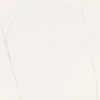 Venis Artic 800X800