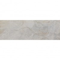 Venis Image Silver 1500X596