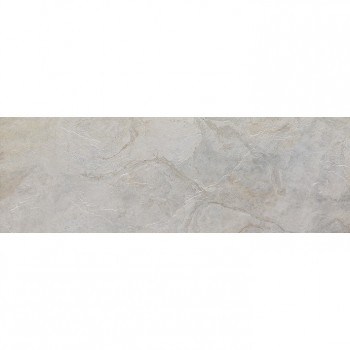 Venis Image Silver 1500X596