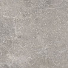 Плитка Porcelanosa Noir Topo L 596x596