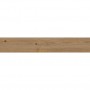 Плитка Ragno Secret Rovere RECT 1200x200