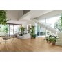 Плитка Ragno Secret Rovere RECT 1200x200