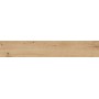 Плитка Ragno R4TN Woodtale Miele rect 200x1200