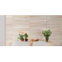 Плитка Rako Alba Dapv1731 Beige Lapp