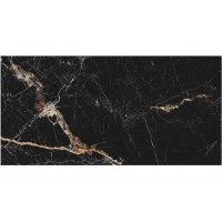Raviraj Vience Black Pol 600x1200
