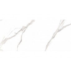 Raviraj Arona Statuario Pol 600x1200