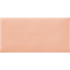 Плитка Rocersa Nordic Coral 250x125
