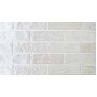 Плитка Rondine J88550 Skln White Brick 250x60