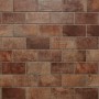 Плитка Rondine J91325 Rcst Old Red Brick 250x60