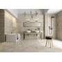Saloni Моньєр Грис 60*60