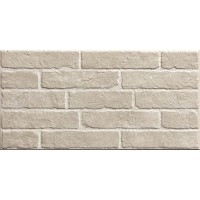 Плитка Stn Ceramica Бела Бланко 500x250
