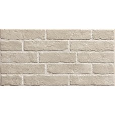 Плитка Stn Ceramica Бела Бланко 500x250