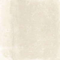 Tau Ceramica Terracina White 22,3*22,3