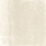 Tau Ceramica Terracina White 22,3*22,3