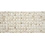 Stylnul Спатул Mp Айворі Br 25*50
