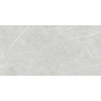 Плитка Tau Elite Silver Matt Rec 1200x600