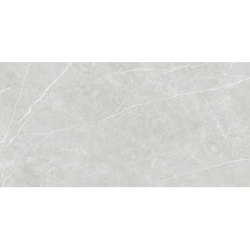 Плитка Tau Elite Silver Matt Rec 1200x600