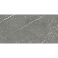 Плитка Tau Elite Graphite Matt Rec 1200x600