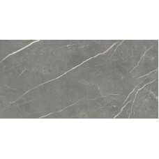 Плитка Tau Elite Graphite Matt Rec 1200x600
