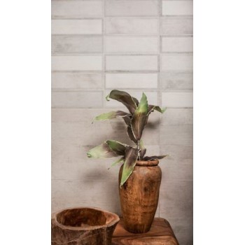 Tau Ceramica Smeaton White 25*75