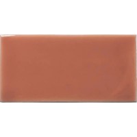 Плитка Wow Ceramic 127000 Fayenza Coral 125x62