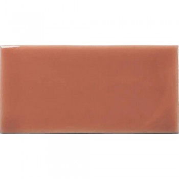 Плитка Wow Ceramic 127000 Fayenza Coral 125x62