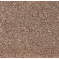 Плитка Зевс Керамика Zwxsv2 450x450x9