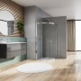 Ronal D20SR551004007 Arelia Душевая кабина 1/4 круга, 1000х1000мм, стекло прозрачное, проф.серебряный полир.
