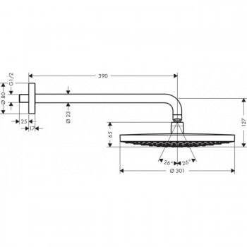 Верхний душ HANSGROHE Raindance Select 27378000