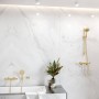Ручний душ Hansgrohe Raindance Select S 120 3jet, золото (26530990)