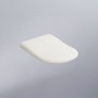 Сидіння з кришкою Cielo Fluid soft-close CPVFLTF(TL)