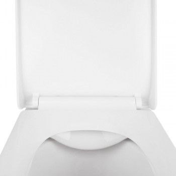 Унитаз подвесной Qtap Tern безободковый с сиденьем Soft-close QT1733052ERW