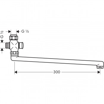 Hansgrohe 14495000 Вилив для ванни